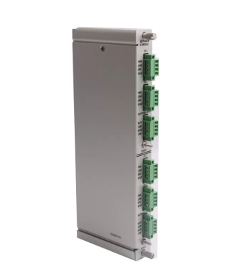 Модуль ввода вывода Bentley Nevada 125800-01