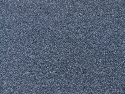 Regicell PPI 60