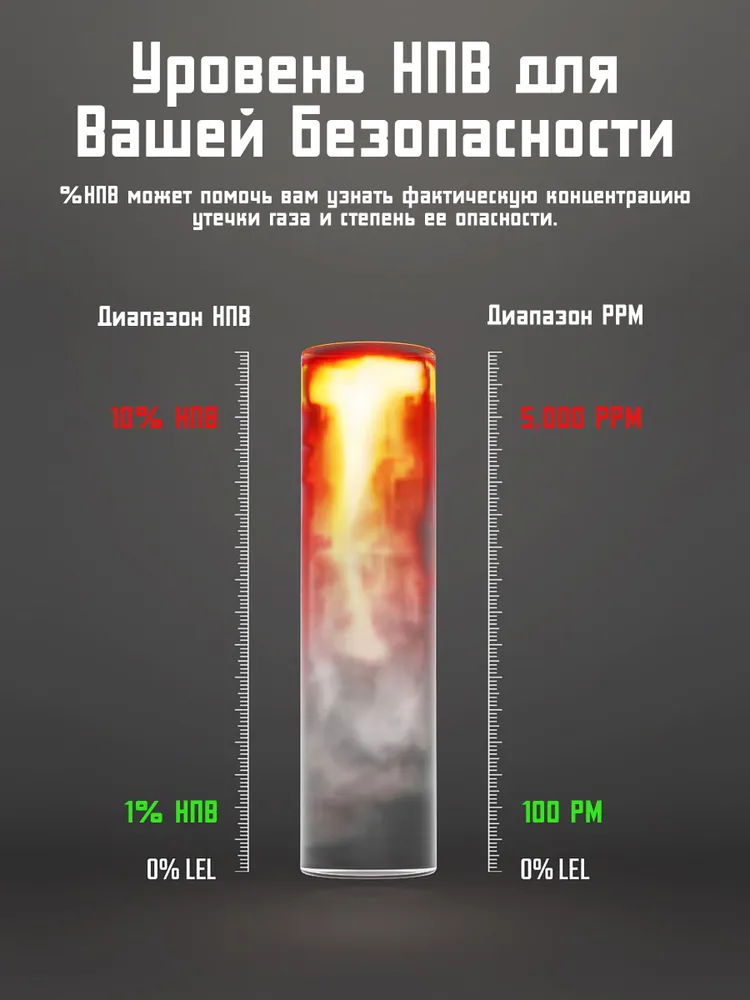 PT210S Газоанализатор утечки газа TopTes